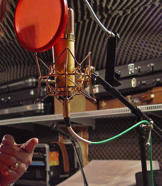 Recording room #07 Golden Neumann U87-2
